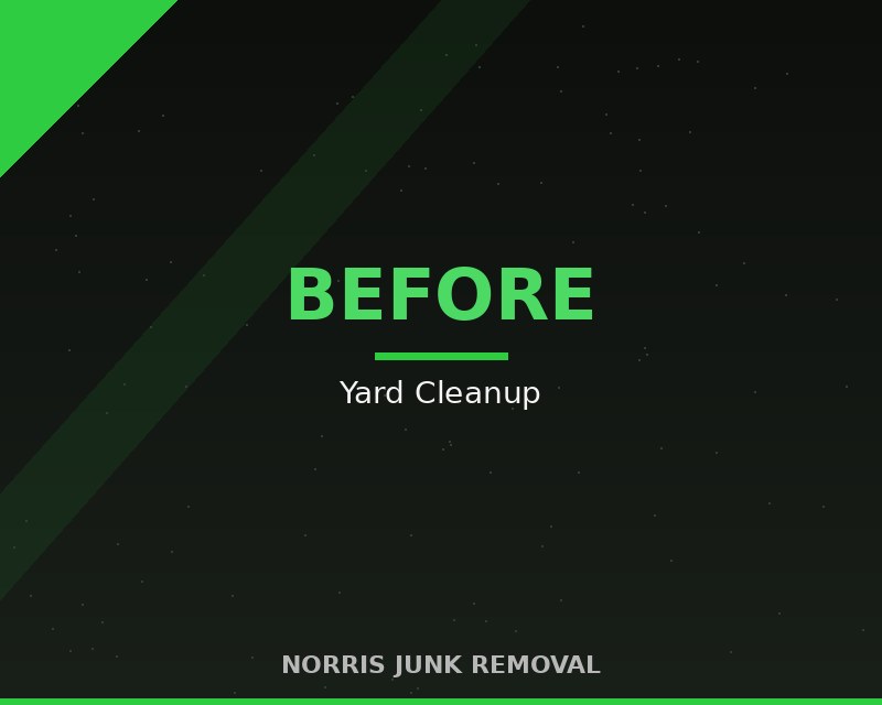 Before — Yard Cleanup
